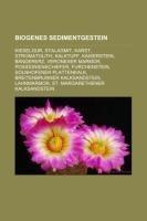 Biogenes Sedimentgestein
