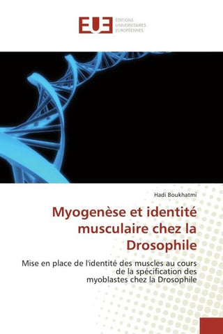 Myogenèse et identité musculaire chez la Drosophile