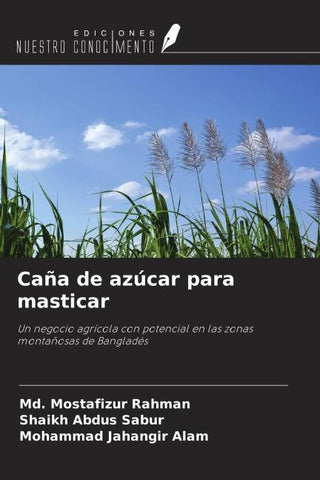 Caña de azúcar para masticar