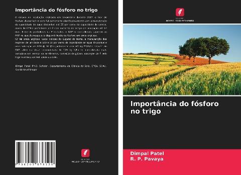 Importância do fósforo no trigo