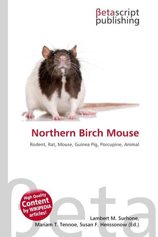 Northern Birch Mouse