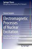 Electromagnetic Processes of Nuclear Excitation
