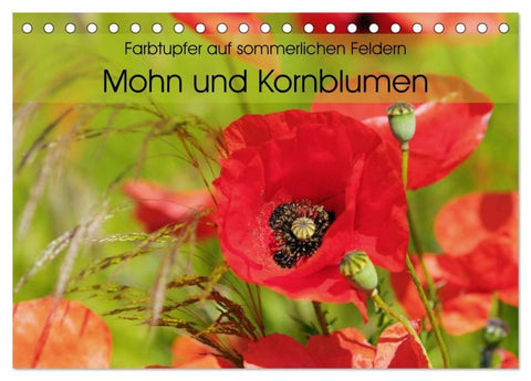 Farbtupfer auf sommerlichen Feldern - Mohn und Kornblumen (Tischkalender 2026 DIN A5 quer), CALVENDO Monatskalender