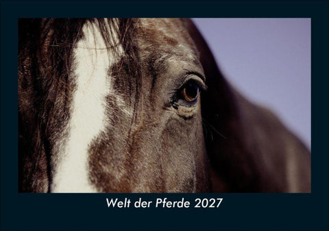 Welt der Pferde 2027 Fotokalender DIN A5