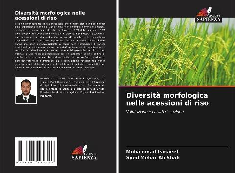 Diversità morfologica nelle acessioni di riso