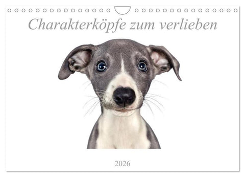 Charakterköpfe zum verlieben (Wandkalender 2026 DIN A4 quer), CALVENDO Monatskalender