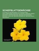 Schiefblattgewächse