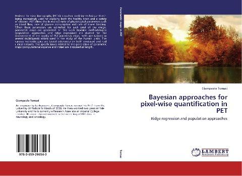 Bayesian approaches for pixel-wise quantification in PET