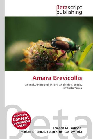 Amara Brevicollis