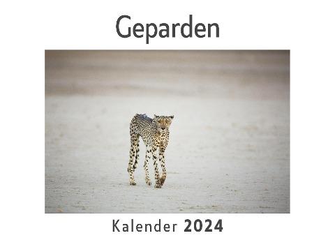 Geparden (Wandkalender 2024, Kalender DIN A4 quer, Monatskalender im Querformat mit Kalendarium, Das perfekte Geschenk)