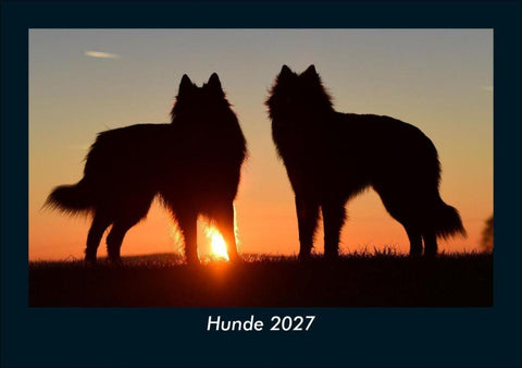 Hunde 2027 Fotokalender DIN A5