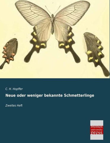 Neue oder weniger bekannte Schmetterlinge