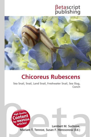 Chicoreus Rubescens
