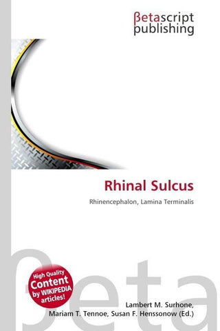 Rhinal Sulcus