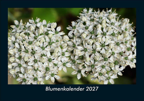 Blumenkalender 2027 Fotokalender DIN A5