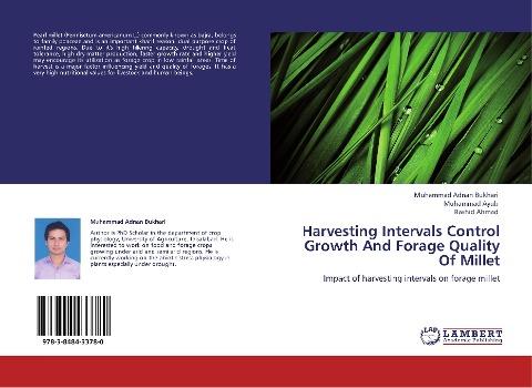 Harvesting Intervals Control Growth And Forage Quality Of Millet