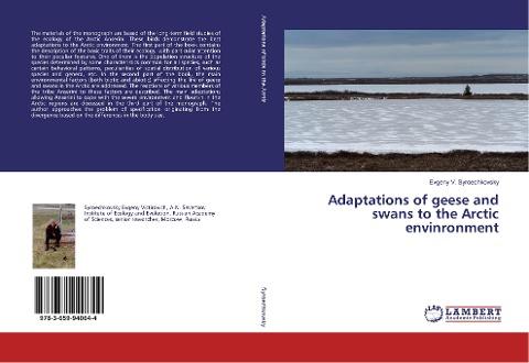 Adaptations of geese and swans to the Arctic envinronment