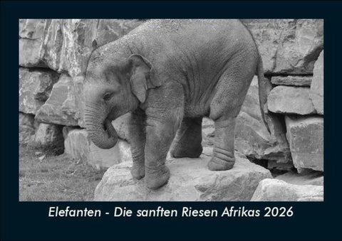 Elefanten - Die sanften Riesen Afrikas 2026 Fotokalender DIN A5