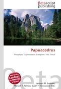 Papuacedrus