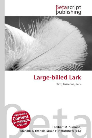 Large-billed Lark