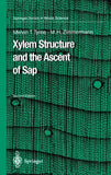 Xylem Structure and the Ascent of Sap
