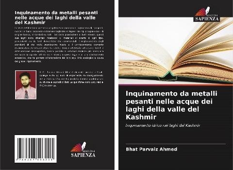 Inquinamento da metalli pesanti nelle acque dei laghi della valle del Kashmir