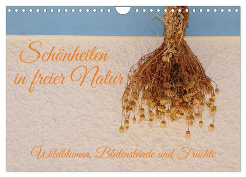 Schönheiten in freier Natur (Wandkalender 2026 DIN A4 quer), CALVENDO Monatskalender