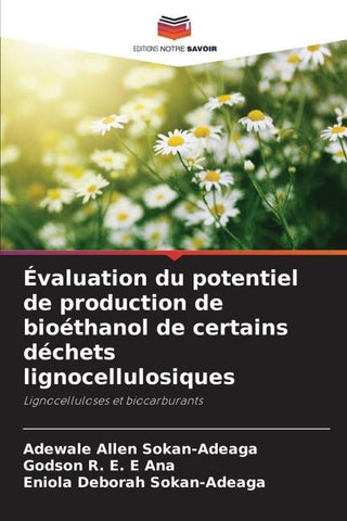 Évaluation du potentiel de production de bioéthanol de certains déchets lignocellulosiques