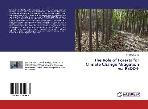 The Role of Forests for Climate Change Mitigation via REDD+