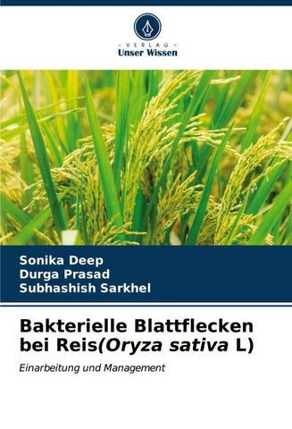 Bakterielle Blattflecken bei Reis(Oryza sativa L)