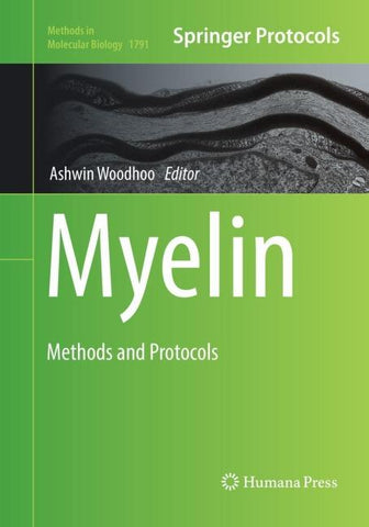 Myelin