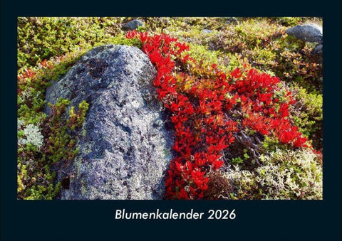 Blumenkalender 2026 Fotokalender DIN A4