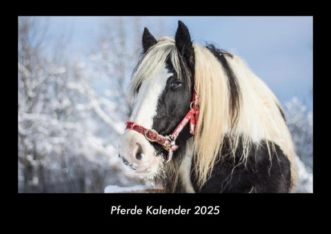 Pferde Kalender 2025 Fotokalender DIN A3