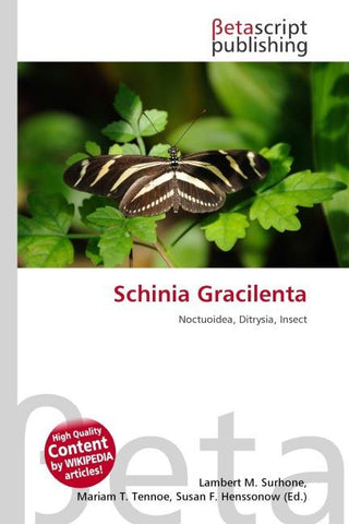 Schinia Gracilenta