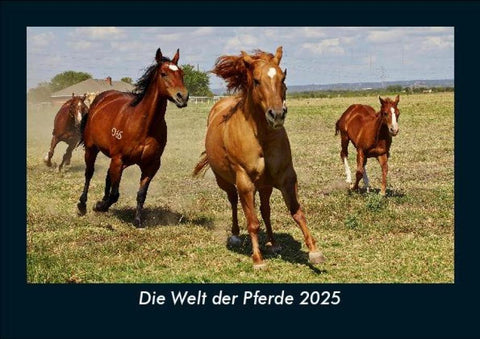 Die Welt der Pferde 2025 Fotokalender DIN A5