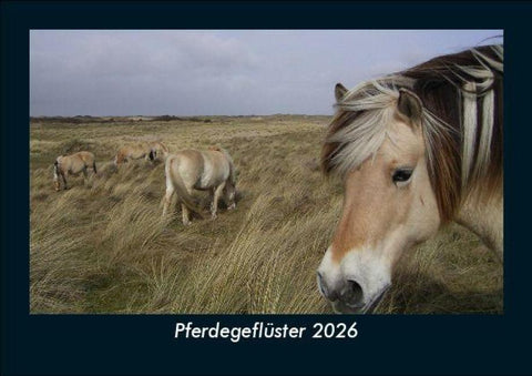 Pferdegeflüster 2026 Fotokalender DIN A5