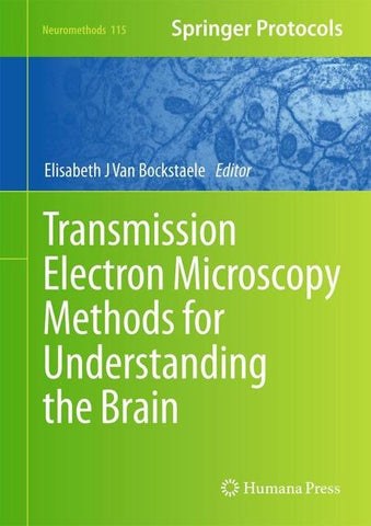 Transmission Electron Microscopy Methods for Understanding the Brain