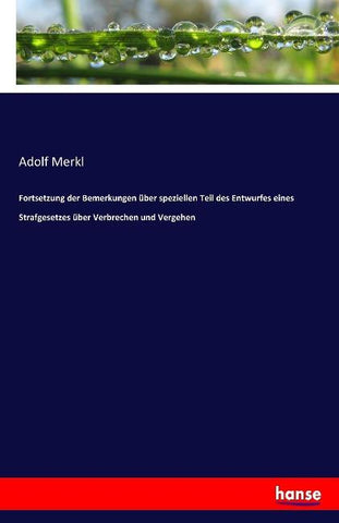 Fortsetzung der Bemerkungen über speziellen Teil des Entwurfes eines Strafgesetzes über Verbrechen und Vergehen