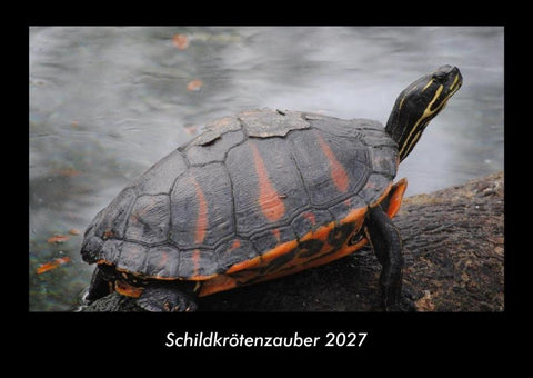 Schildkrötenzauber 2027 Fotokalender DIN A3