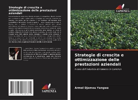 Strategie di crescita e ottimizzazione delle prestazioni aziendali