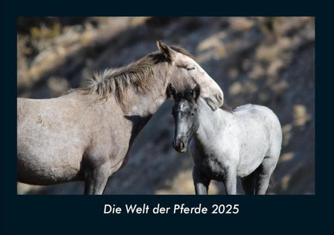 Die Welt der Pferde 2025 Fotokalender DIN A4