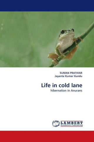 Life in cold lane