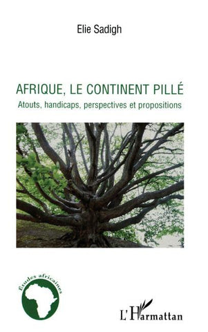 Afrique, le continent pillé
