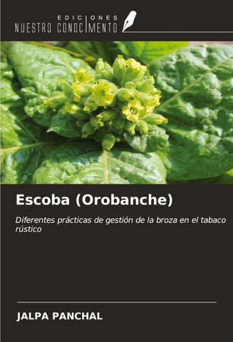 Escoba (Orobanche)