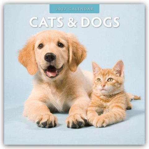 Cats & Dogs – Katzen & Hunde 2027 – 16-Monatskalender