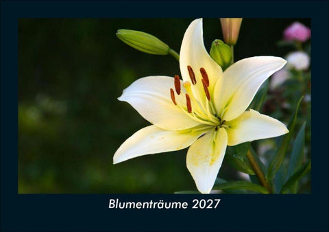 Blumenträume 2027 Fotokalender DIN A5