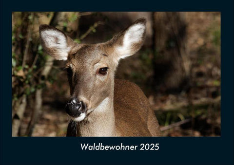 Waldbewohner 2025 Fotokalender DIN A4