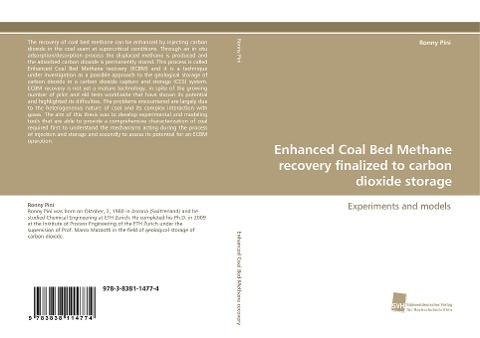 Enhanced Coal Bed Methane recovery finalized to carbon dioxide storage