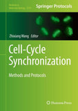 Cell-Cycle Synchronization