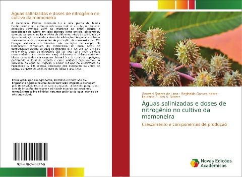 Águas salinizadas e doses de nitrogênio no cultivo da mamoneira